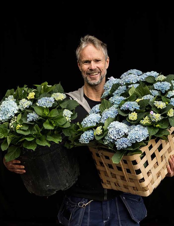 Bild von Anders Grönqvist Haltet Blumen
