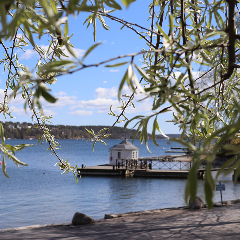 Blick auf Meer und Pier